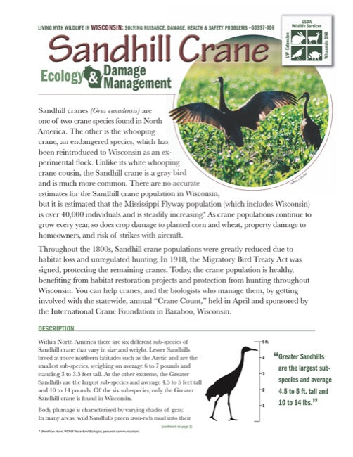 Sandhill Crane Ecology and Damage Management